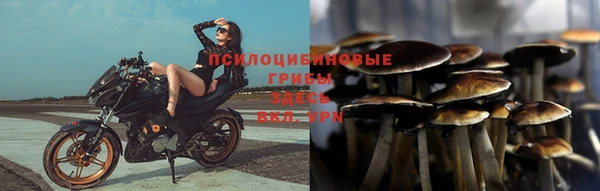 ALPHA-PVP Армянск